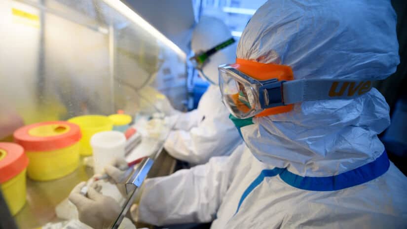 You are currently viewing დაჭირდება თუ არა საქართველოში შემომსვლელებს ტესტის ჩატარება – მინისტრის პასუხი