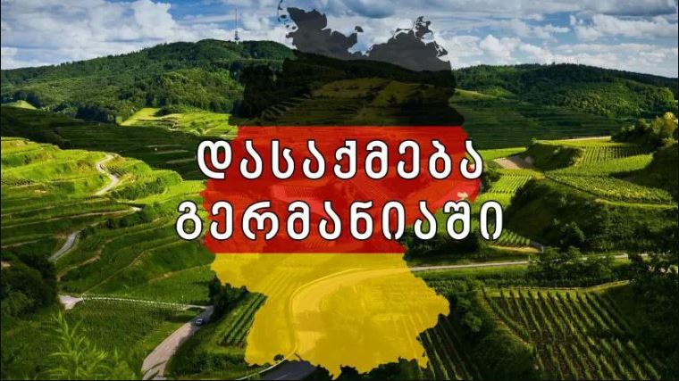 You are currently viewing ვაკანსიების სია – რა მოთხოვნებს უნდა აკმაყოფილებდეს გერმანიაში სამუშაოდ გამგზავრების მსურველი